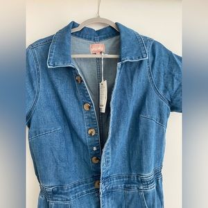 Show Me Your Mumu Denim Jumpsuit